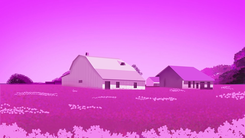 Pink World 3 Pink World 3