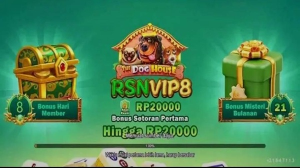 RSNVIP8