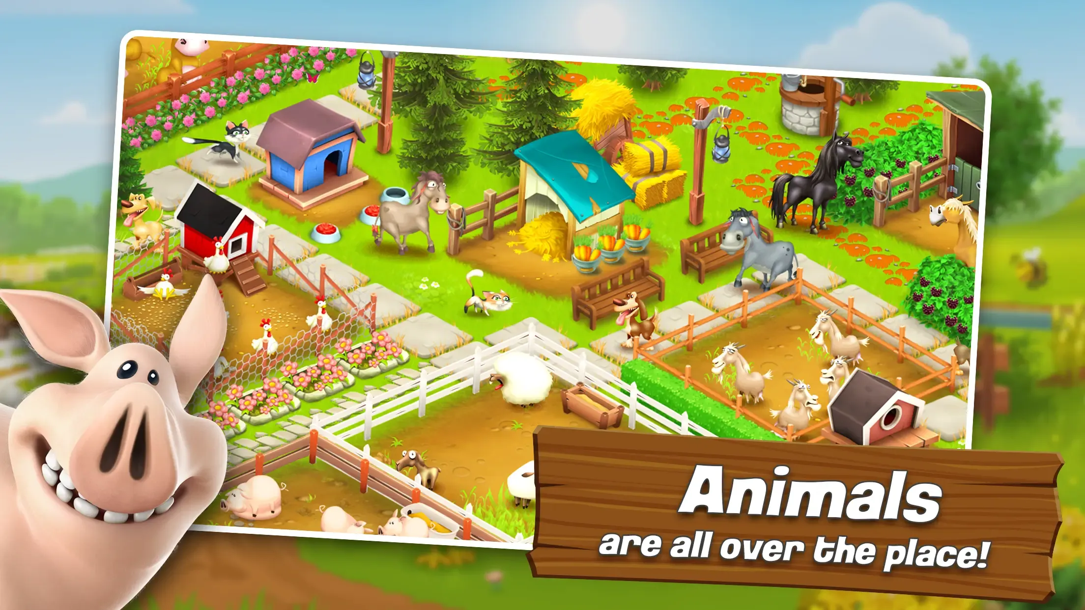 Hay Day (Unlimited Money) Hay Day (Unlimited Money)