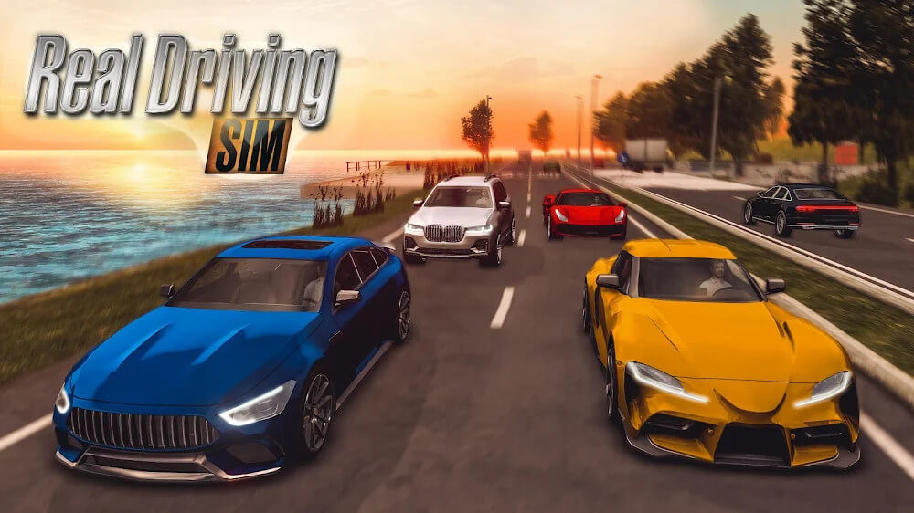 Real Driving Sim Real Driving Sim