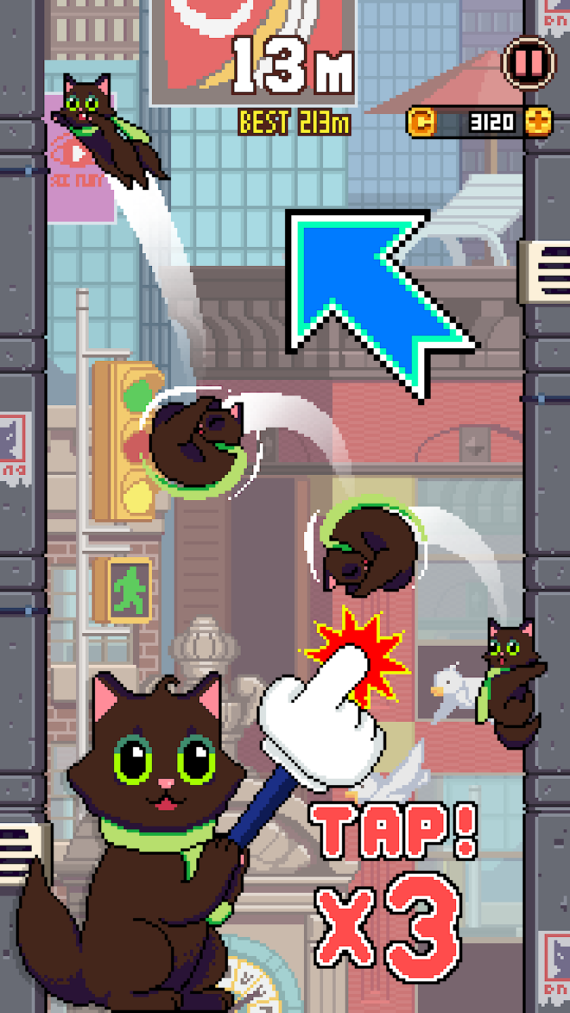 Cat Jump Cat Jump
