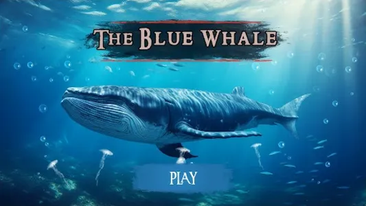 The Blue Whale The Blue Whale