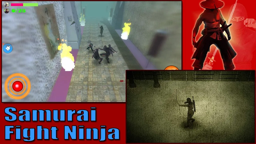Samurai Fight Ninja