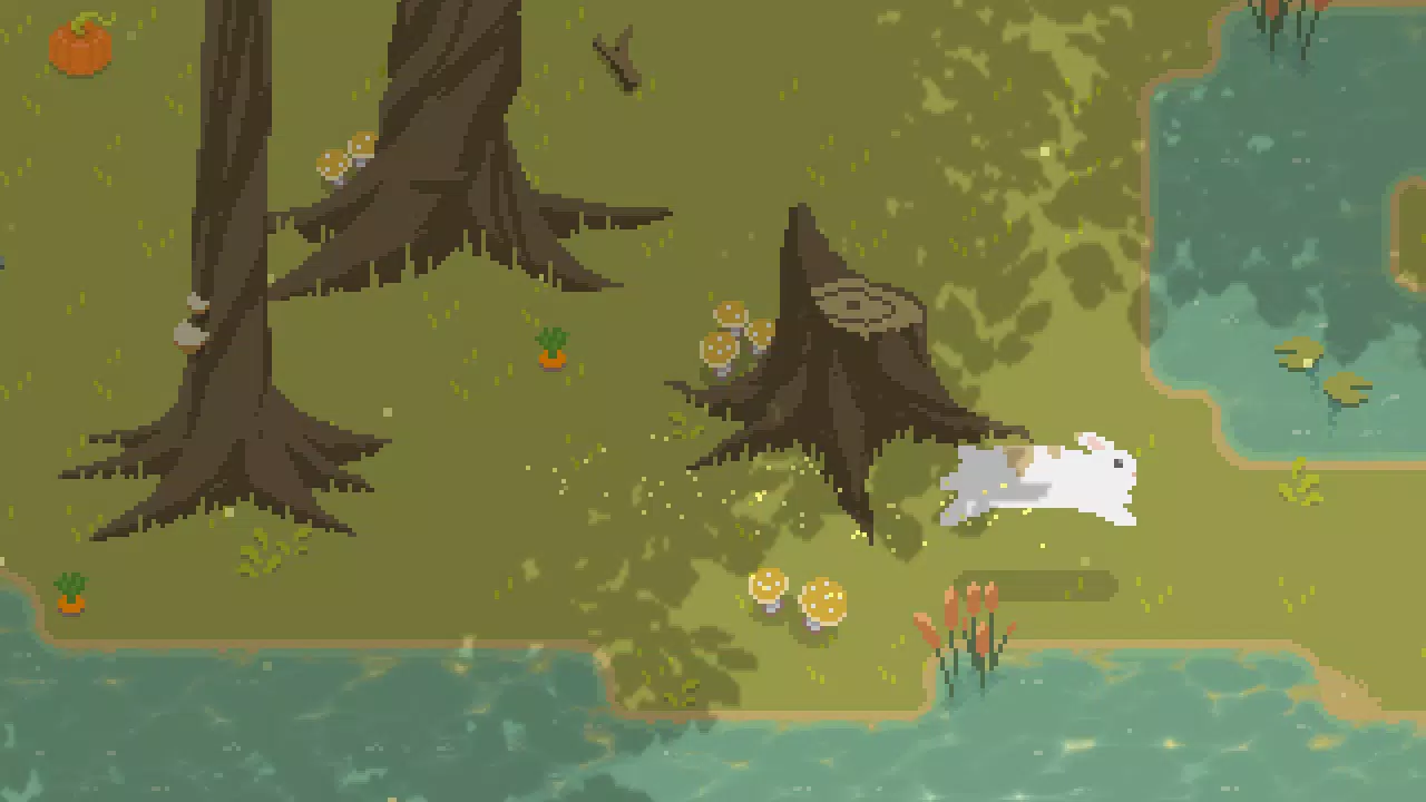 Bunny Forest