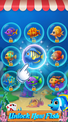 Island Cards Island Cards