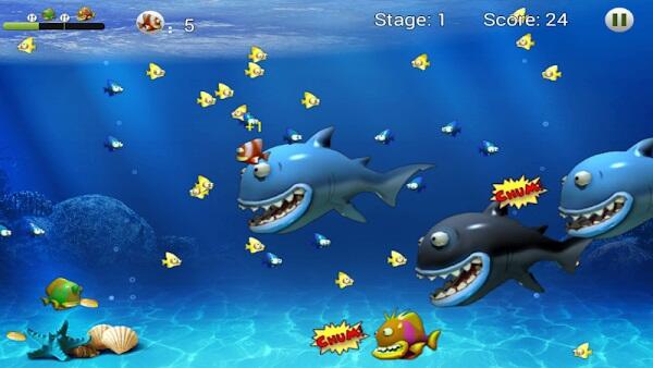 Feeding Frenzy