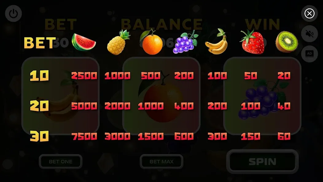 Fortune Winner