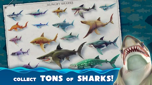 Hungry Shark World Hungry Shark World