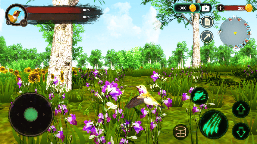Hummingbird Game Free Hummingbird Game Free