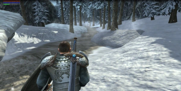 Ravensword: Shadowlands 3d RPG