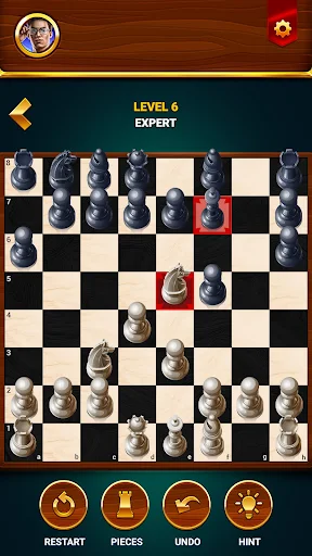 Chess – Offline Board Game
