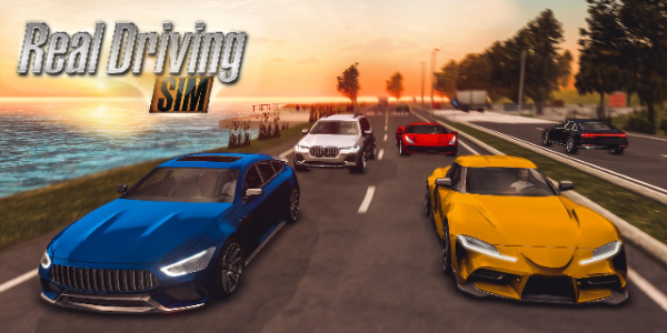 Real Driving Simulator Mod Real Driving Simulator Mod