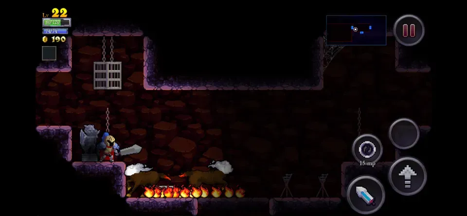 Rogue Legacy Rogue Legacy