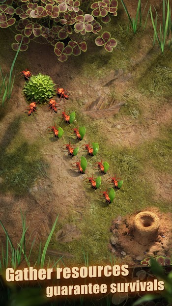 The Ants: Underground Kingdom The Ants: Underground Kingdom