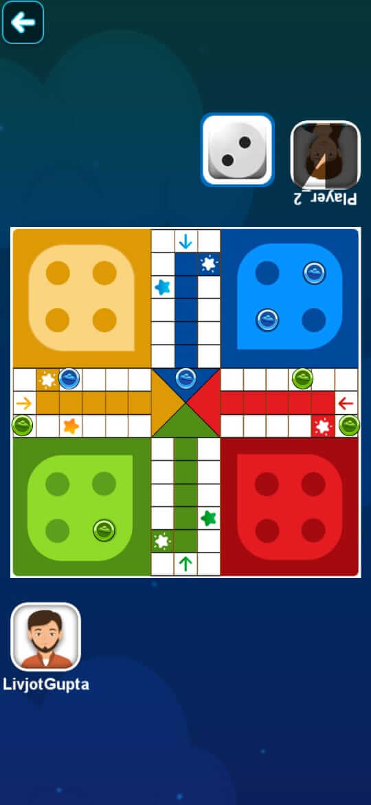 Ludo Nasa