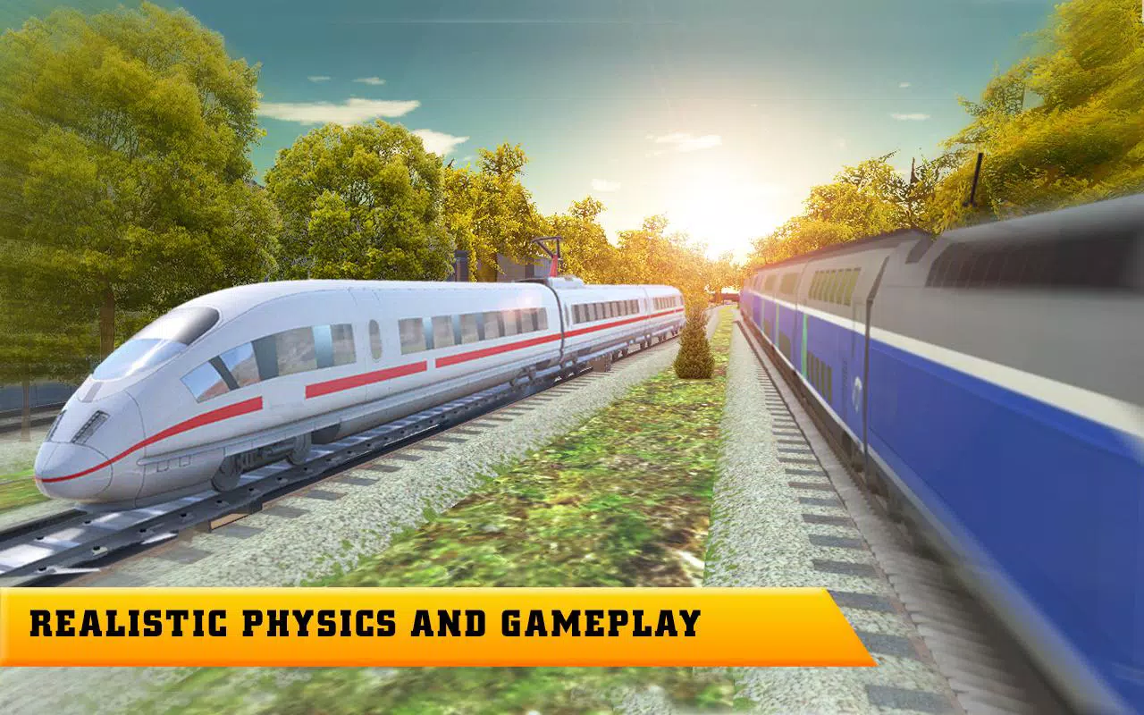 Bullet Train Simulator