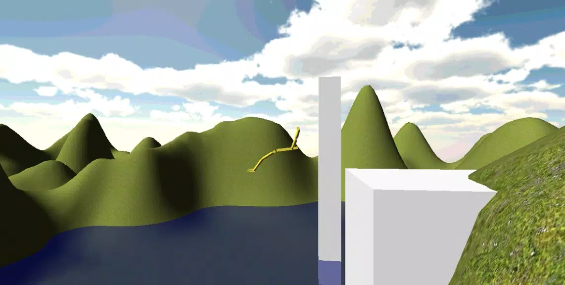 high dive