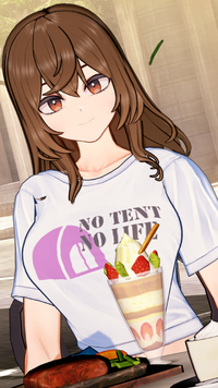 Chat Noir [Joy Boy] apk