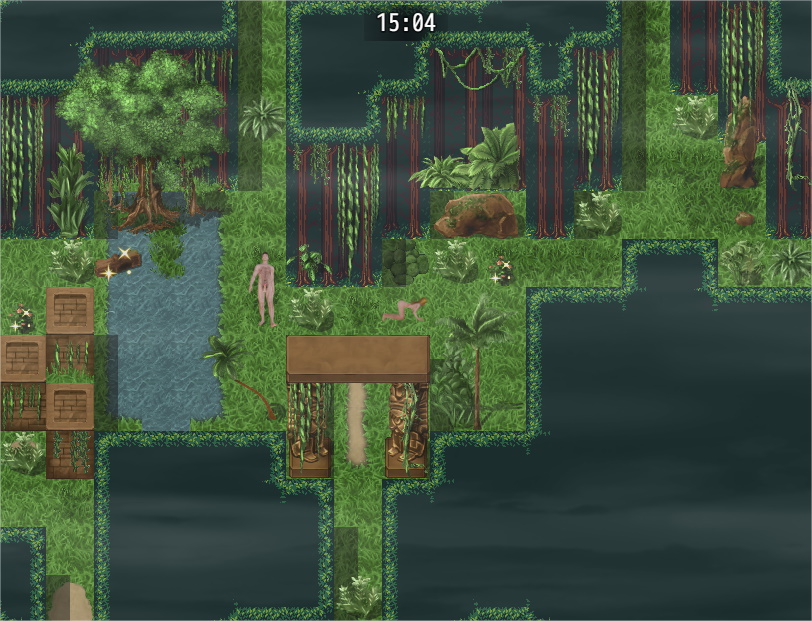 The Island