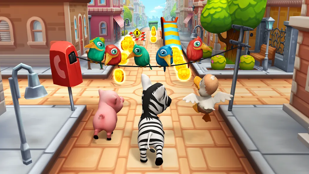 Pet Run