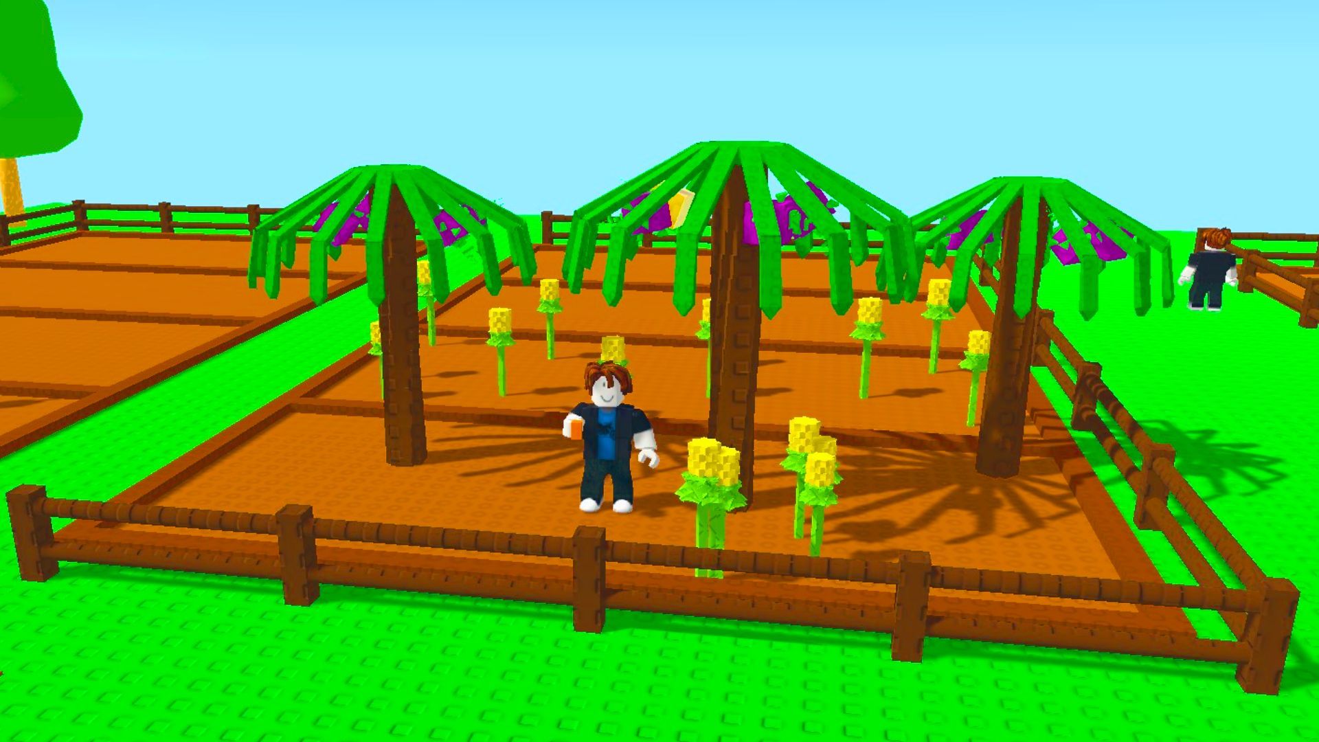 Grow a Garden Grow a Garden