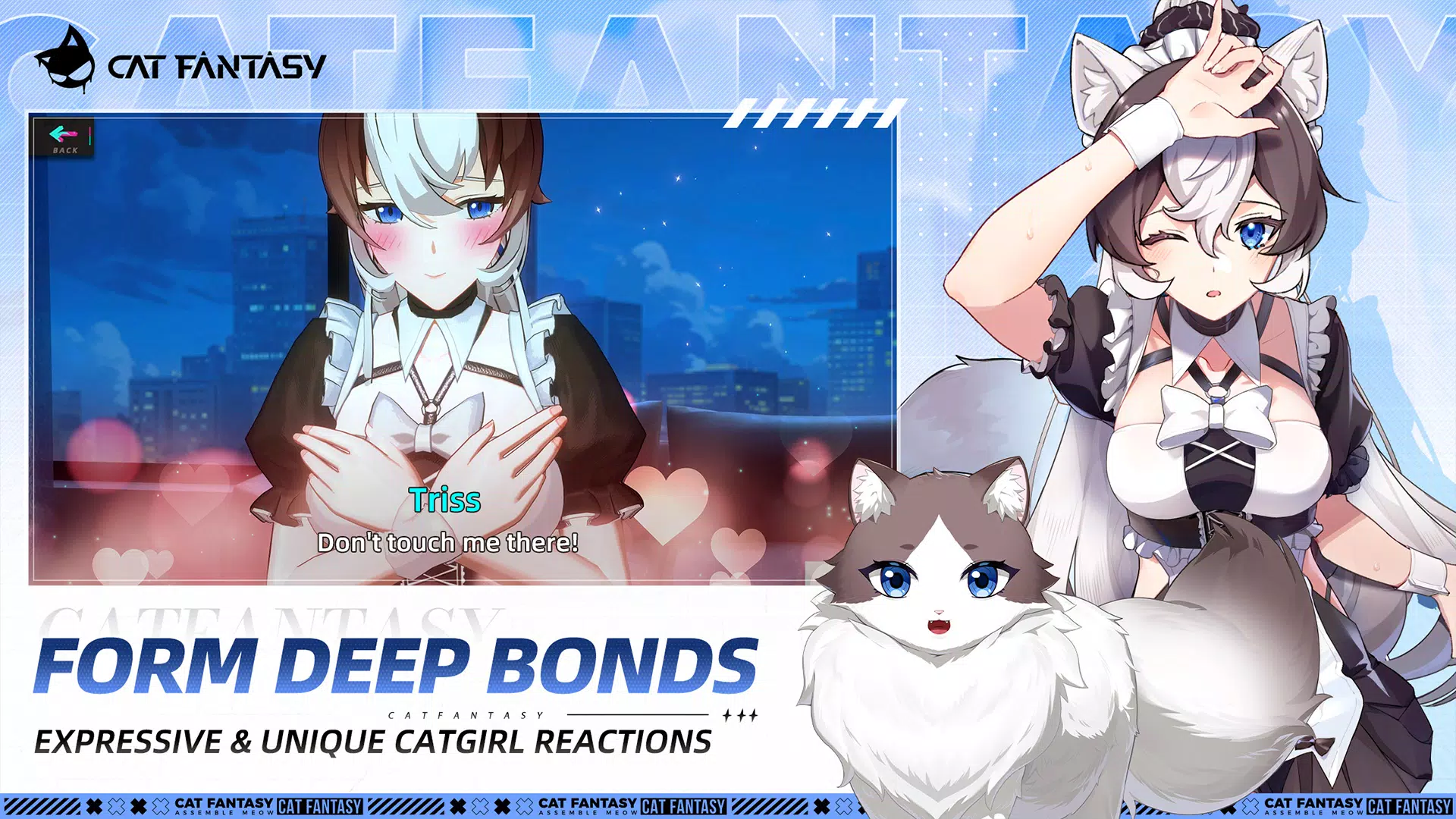 Cat Fantasy: Isekai Adventure