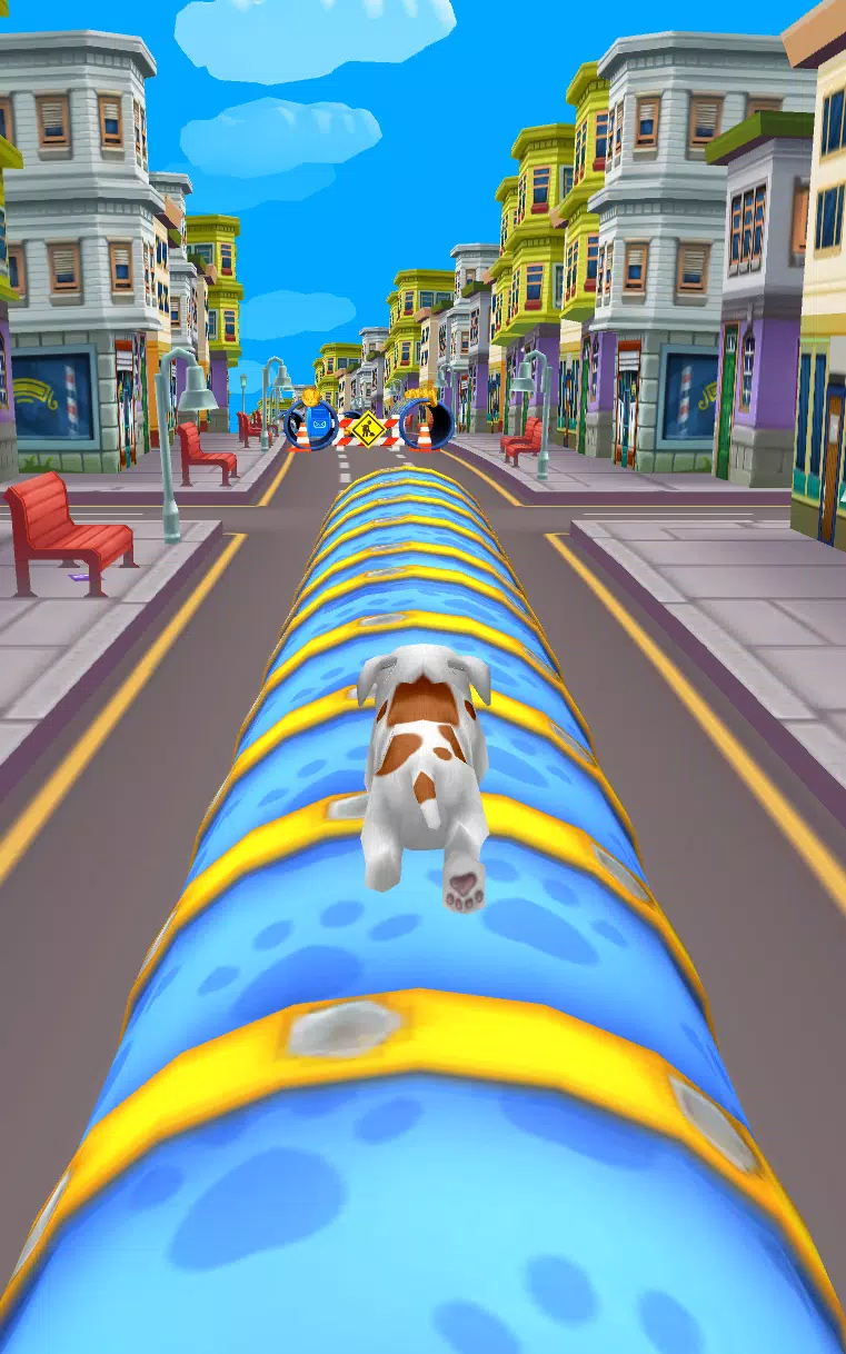 Dog Run