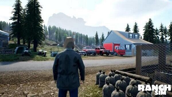 Ranch Simulator