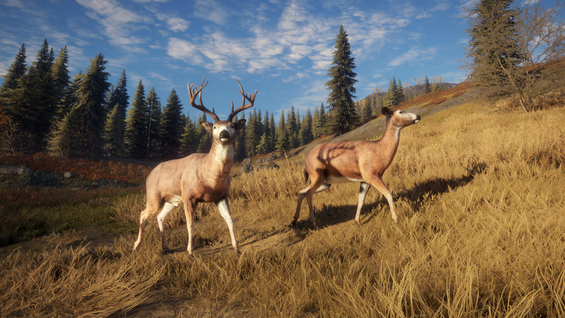 The Hunter: Call of the Wild™