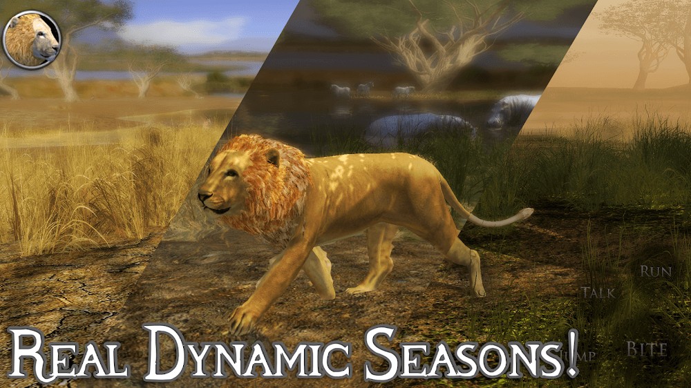 Ultimate Lion Simulator 2