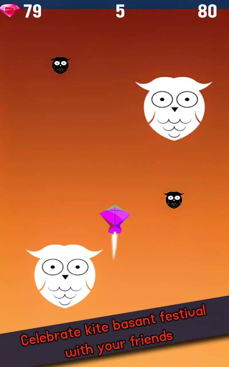 Kite flying:pipa combat