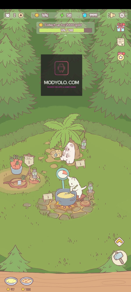 Cats and Soup