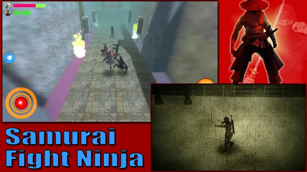 Samurai Fight Ninja