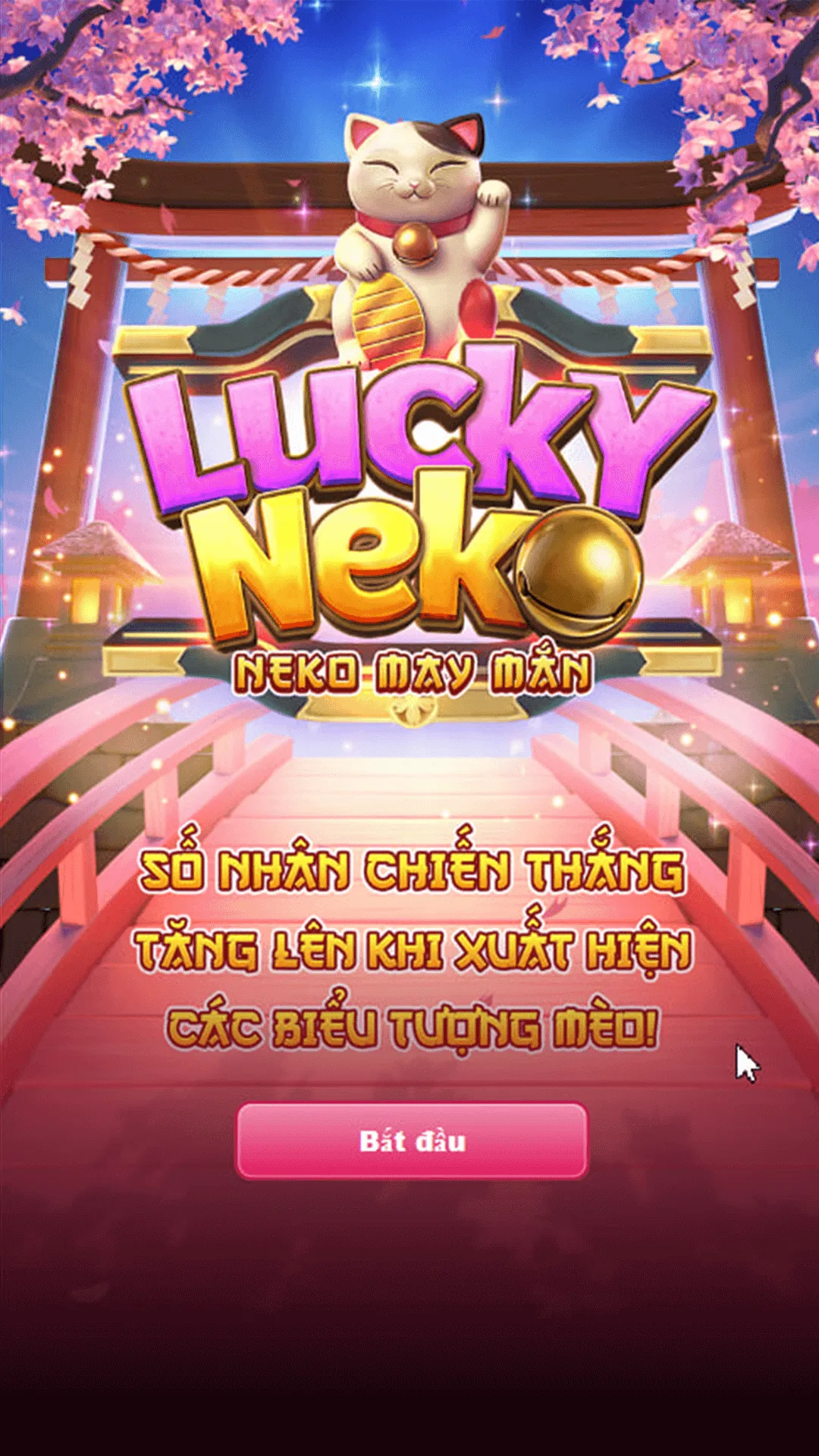 Lucky Neko Lucky Neko