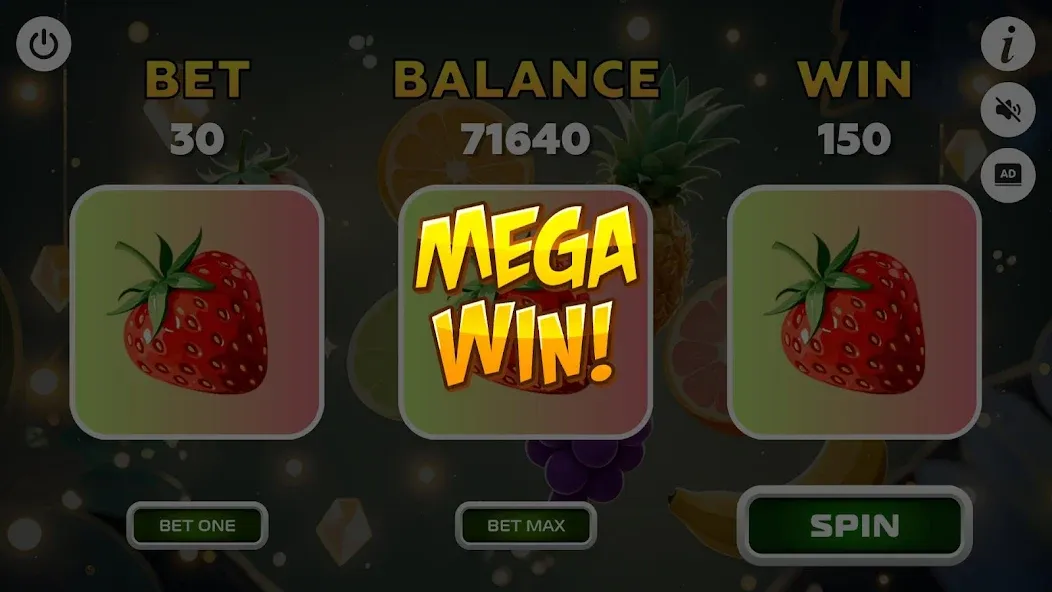 Fortune Winner
