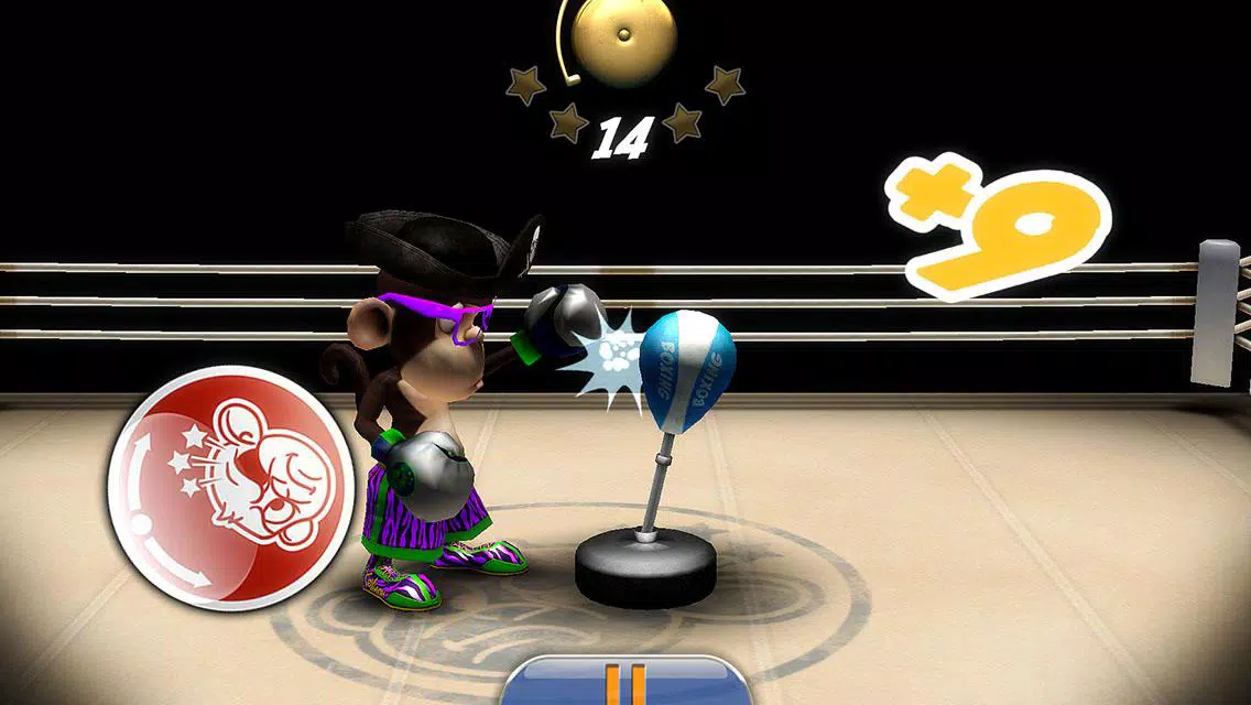 Monkey Boxing Monkey Boxing