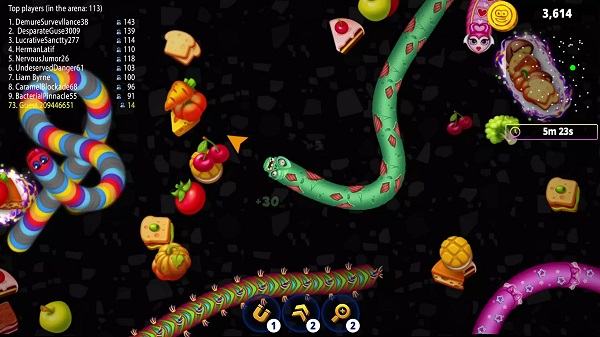 Worms Zone