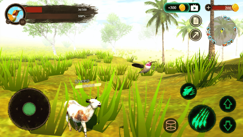 Hummingbird Game Free Hummingbird Game Free