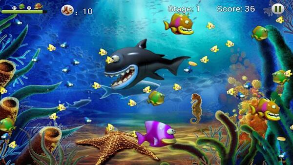 Feeding Frenzy