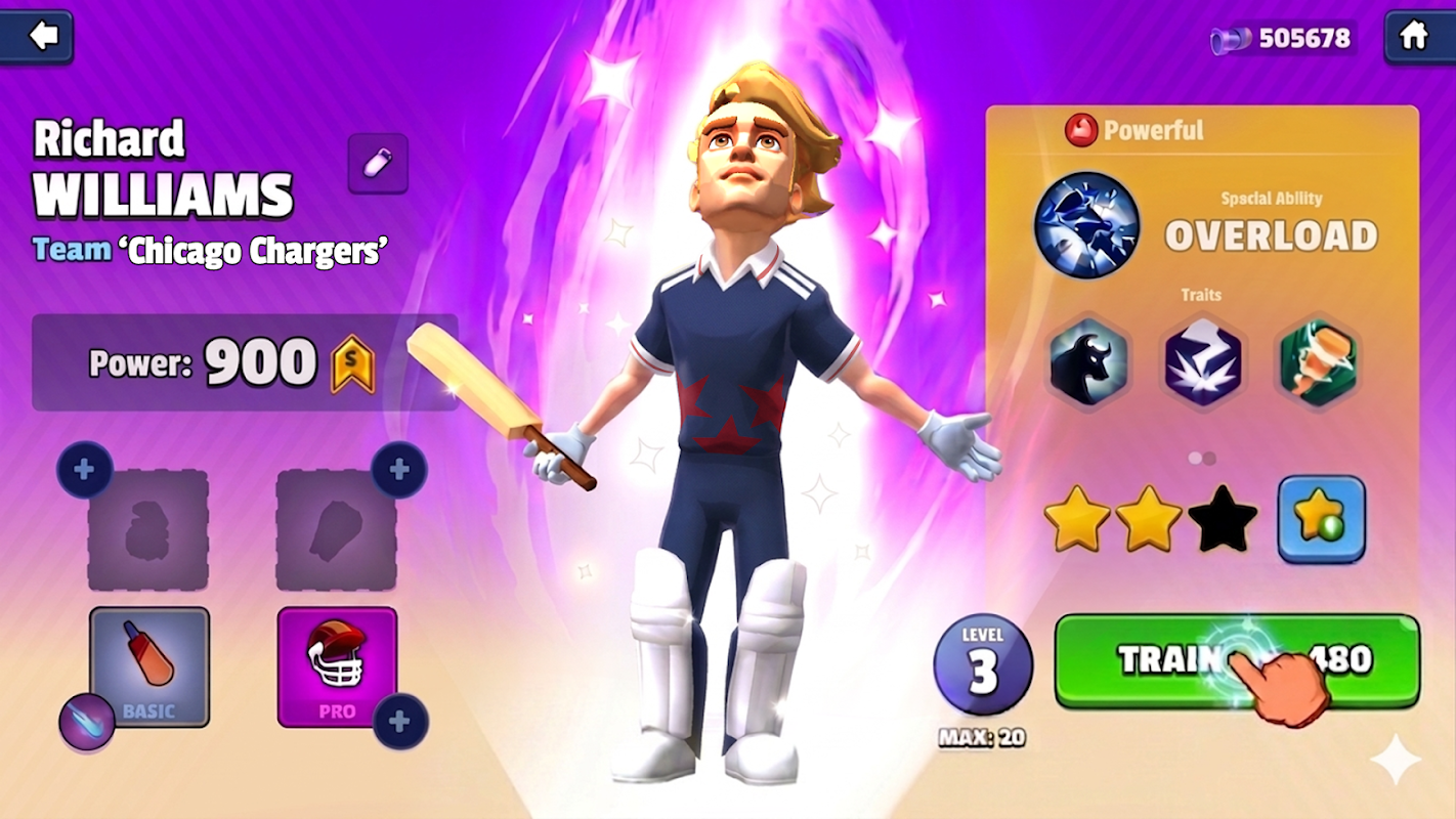 Hitwicket Cricket Game