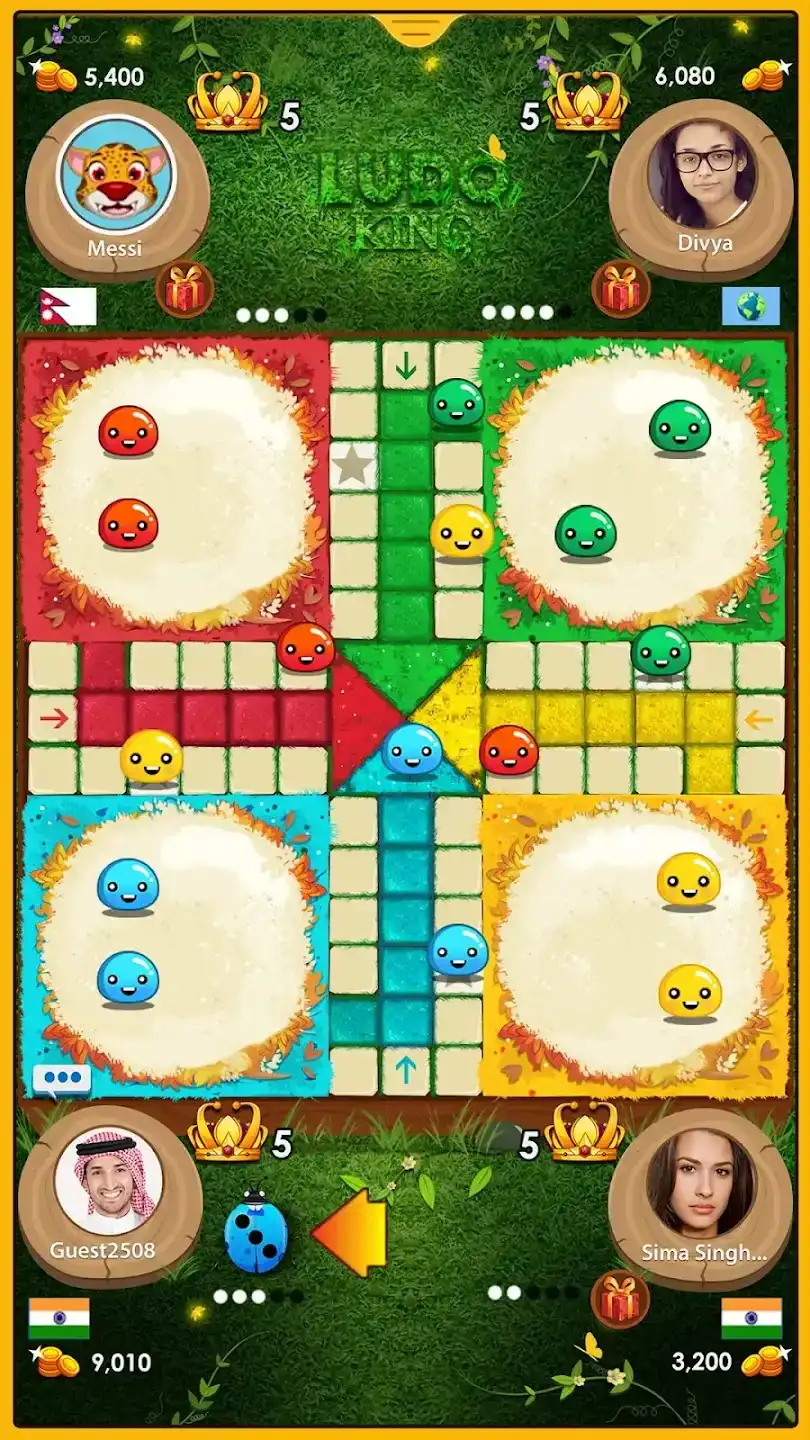 Ludo King Controller