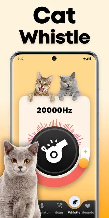 CatTranslator - Cat to Human