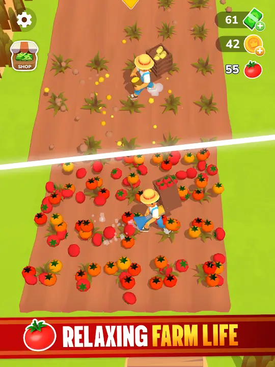 Little Farm Story Little Farm Story