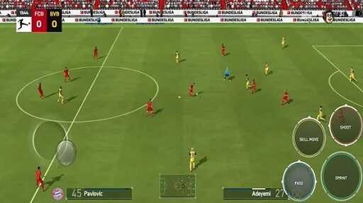 DFL 25 DFL 25