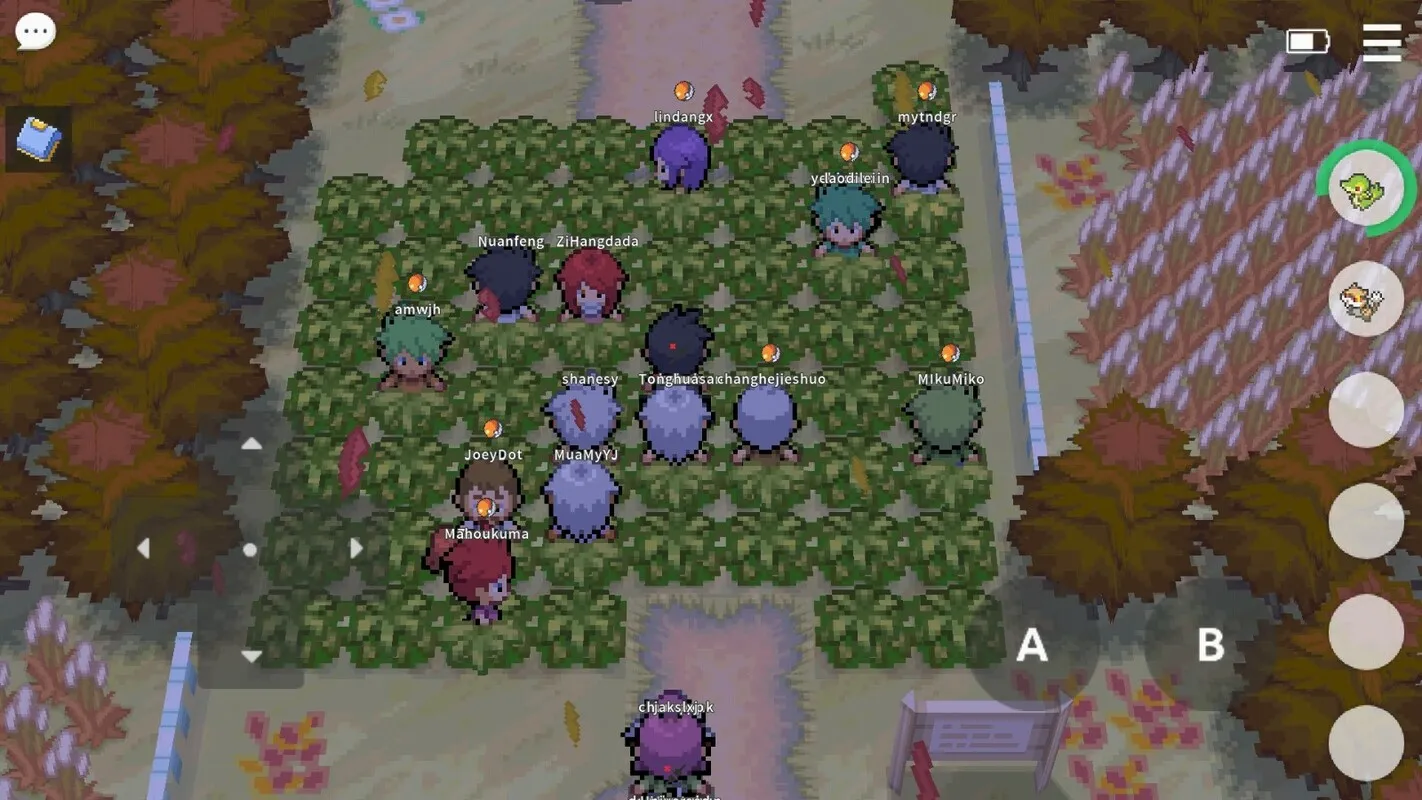 PokeMMO