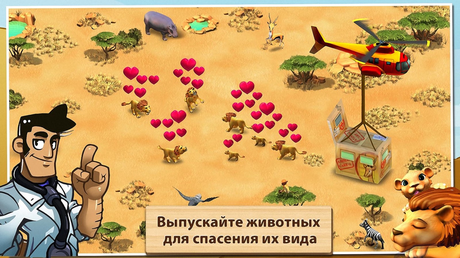 Wonder Zoo Wonder Zoo