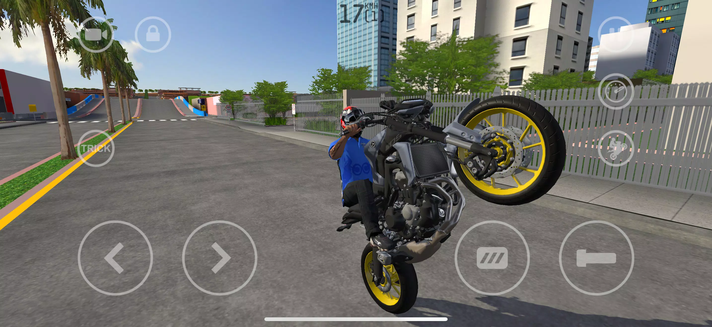 MX Grau