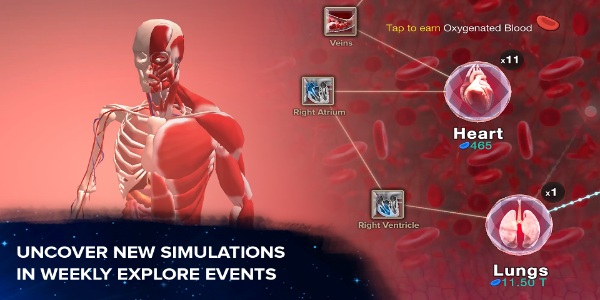 Cell to Singularity: Evolution