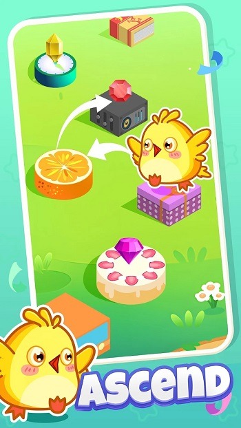 Crazy Bird Crazy Bird