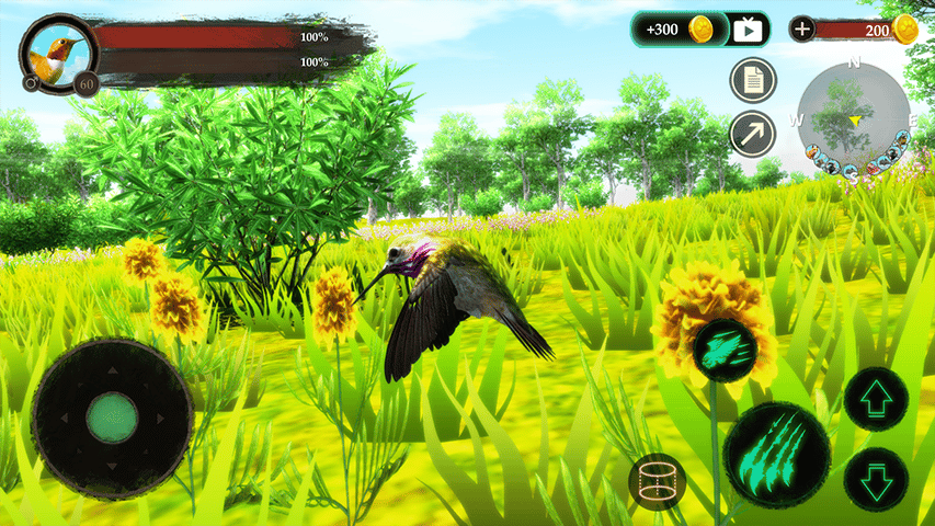 Hummingbird Game Free Hummingbird Game Free